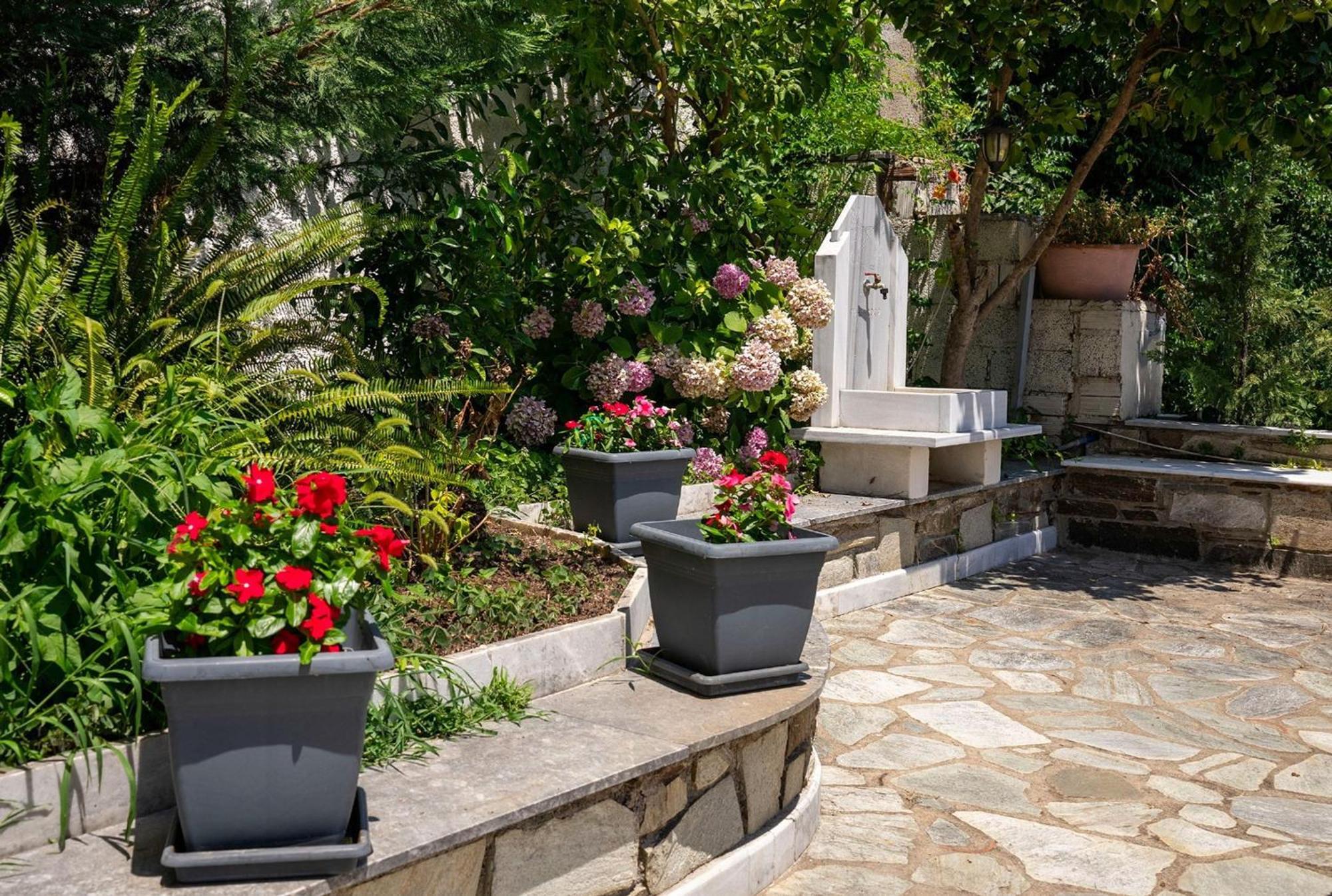Paradeisos Rooms Pelion Agios Dimitrios  Exterior photo